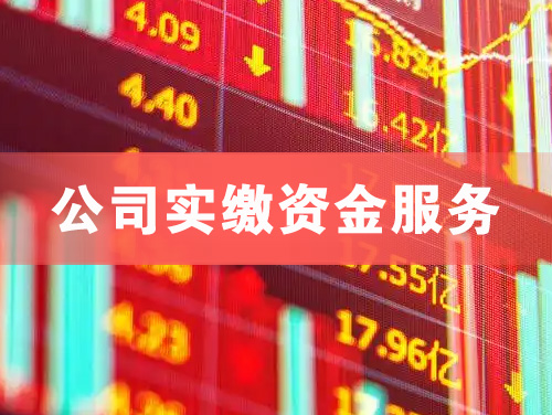 仁怀公司实缴资金服务