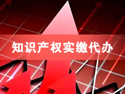 仁怀知识产权实缴资本代办
